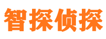 兴宁侦探公司